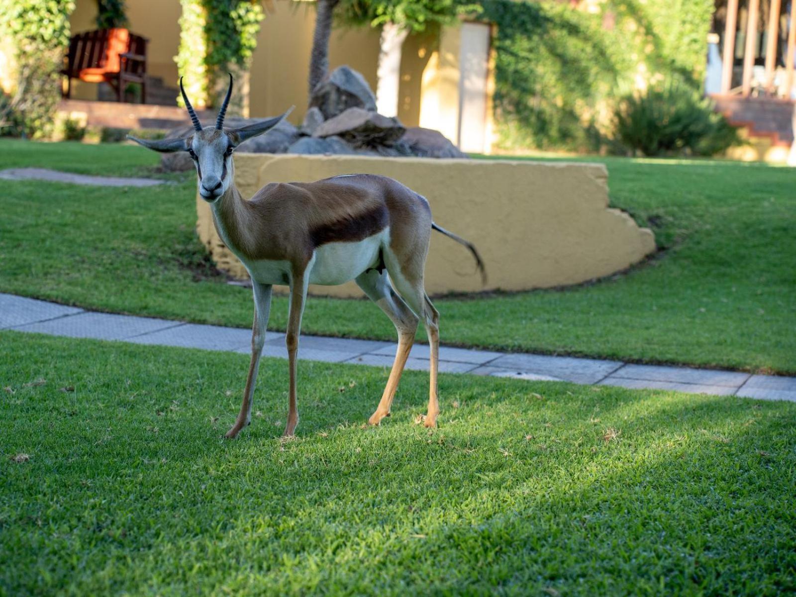 Sunriver Kalahari Lodge Riverside Stay In Upington Ngoại thất bức ảnh